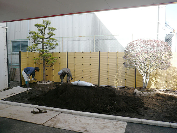 熊本市北区Yデイサービス 施工中　松など樹木を植えます。
