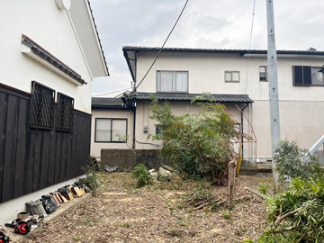 南区電線に掛かるマキの木伐採