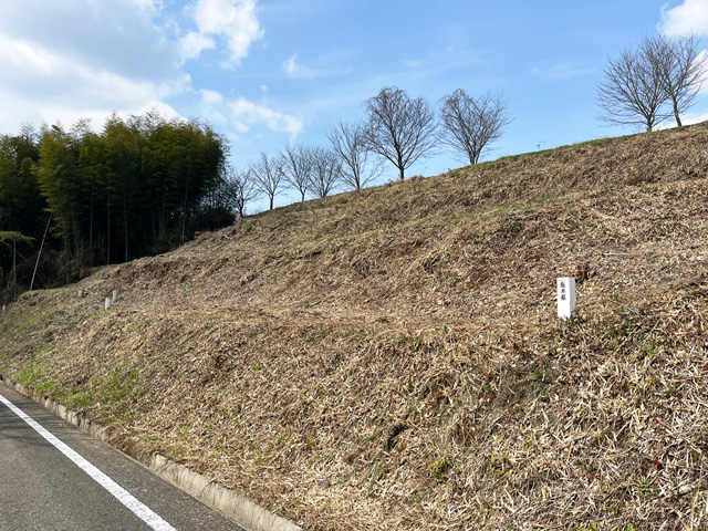 熊本市M様 カズラ伐採