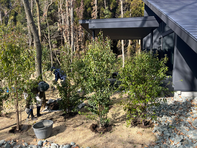 南阿蘇 宿泊施設の植栽工事